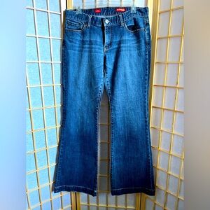 Express Blue Flare Wide Leg Jeans